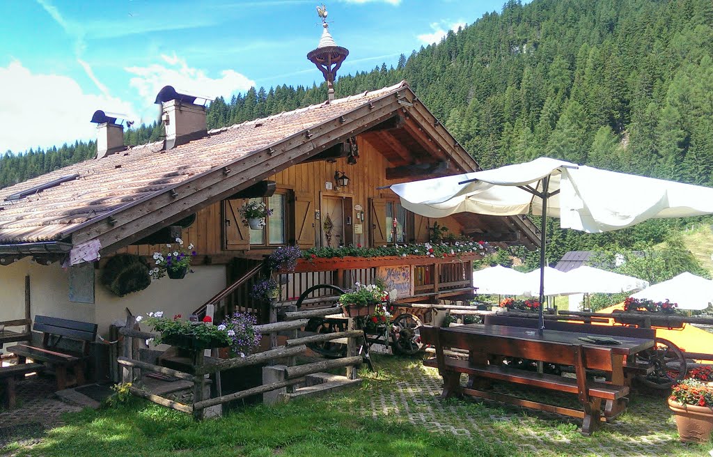 Malga Peniola – Moena – Trentino